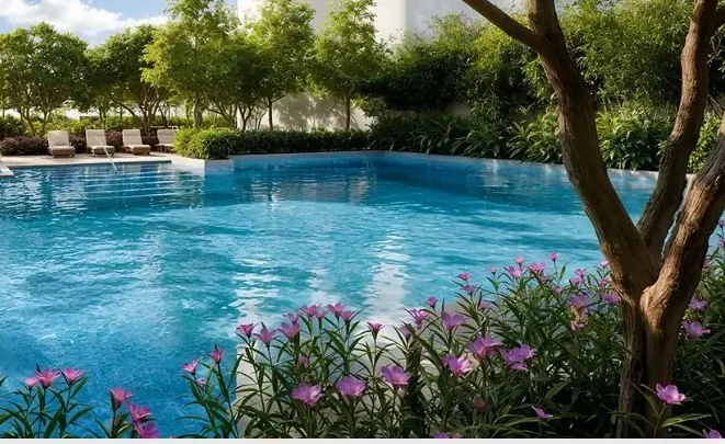 Arvind Sylva swimming pool